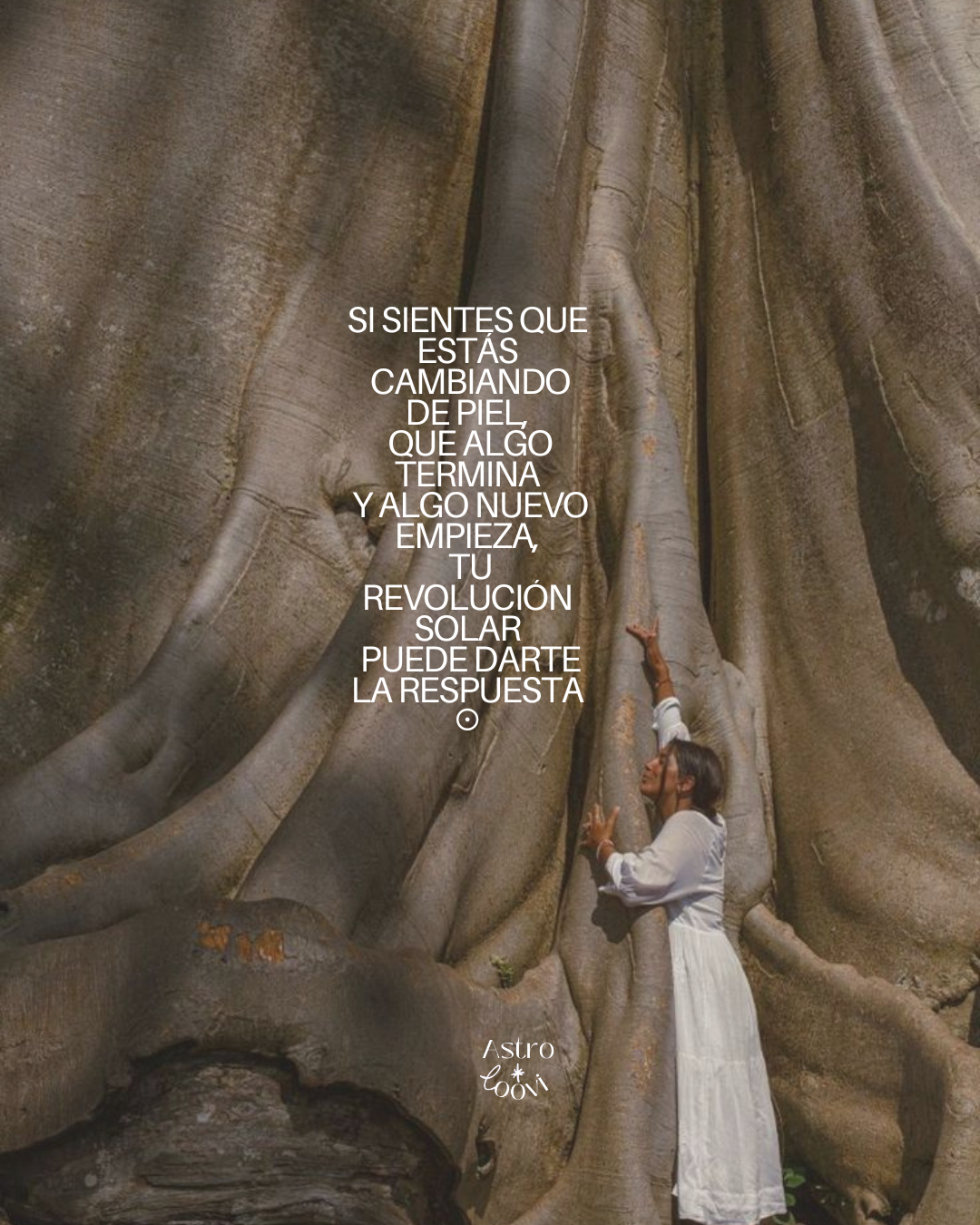 Sesión 1:1 - Cumpleaños - Revolución Solar