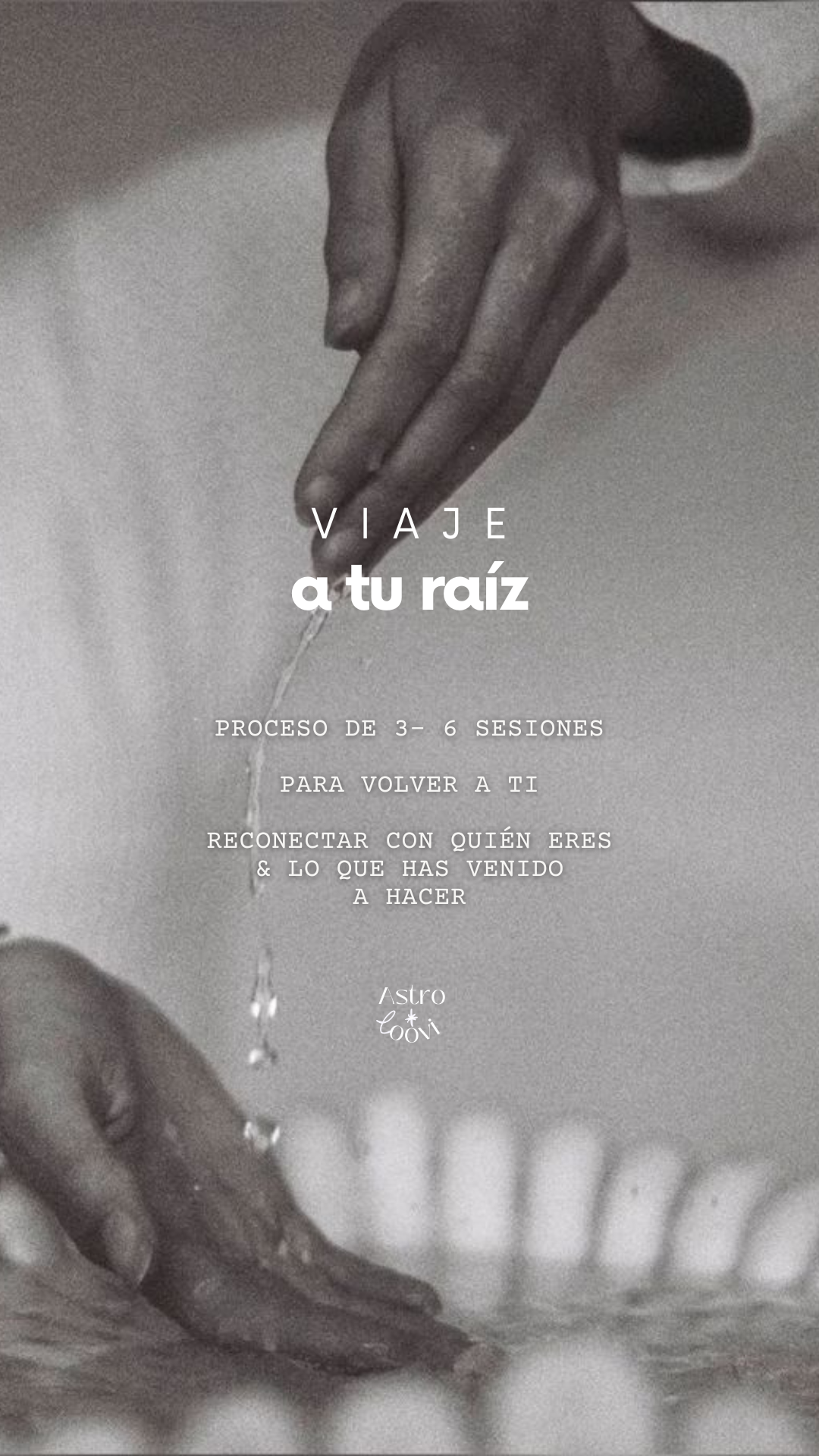 Viaje a tu raíz - con esencias florales