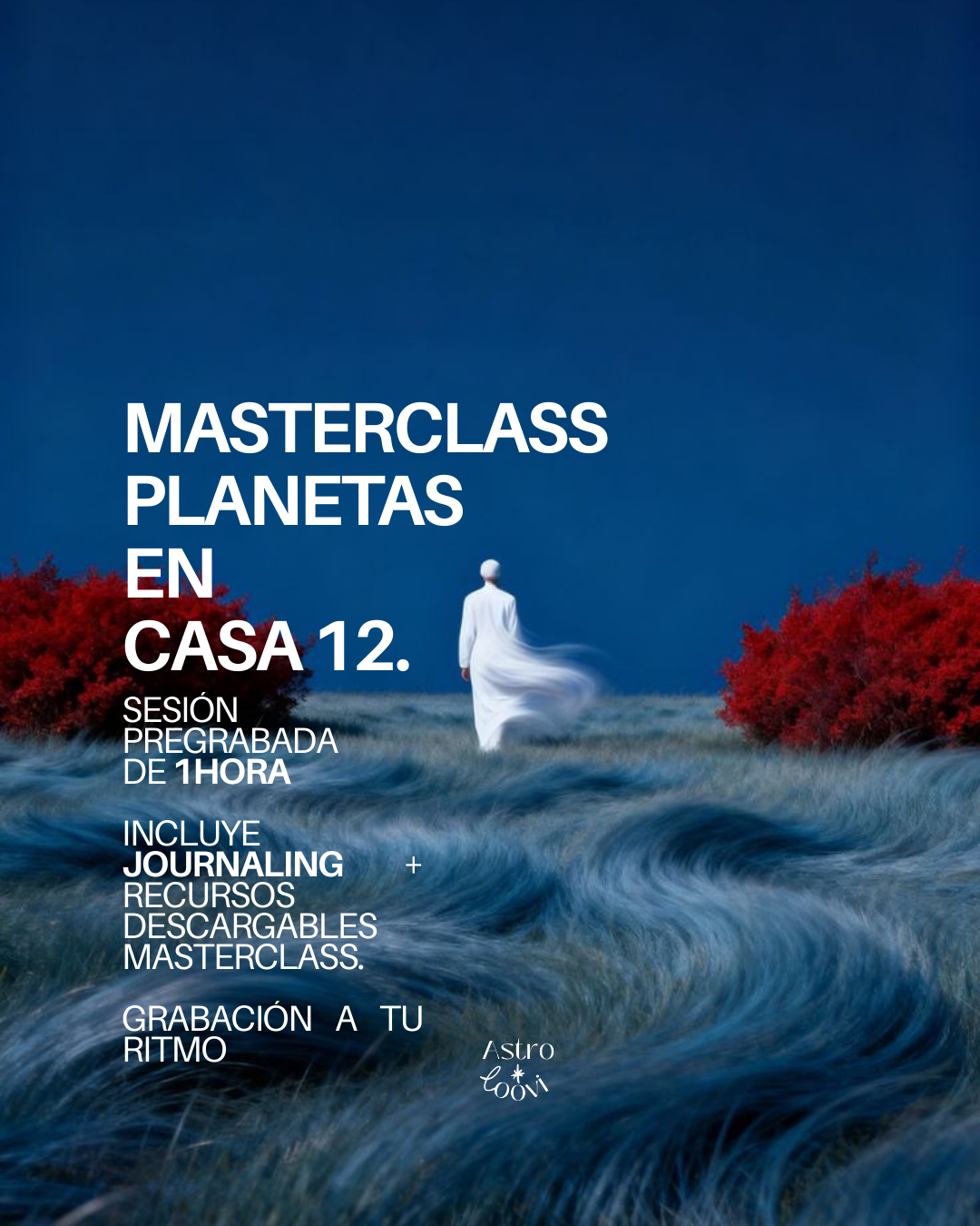 MASTERCLASS de la casa 12 (a tu ritmo)