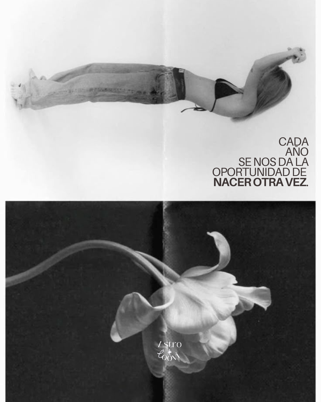 Sesión 1:1 - Cumpleaños - Revolución Solar