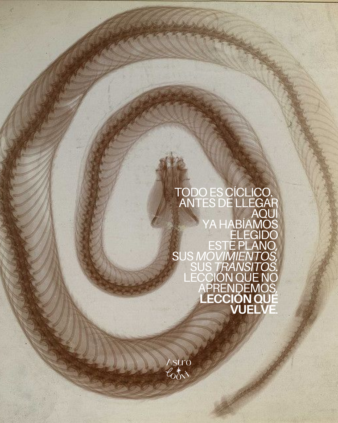 Sesión 1:1 - Cumpleaños - Revolución Solar