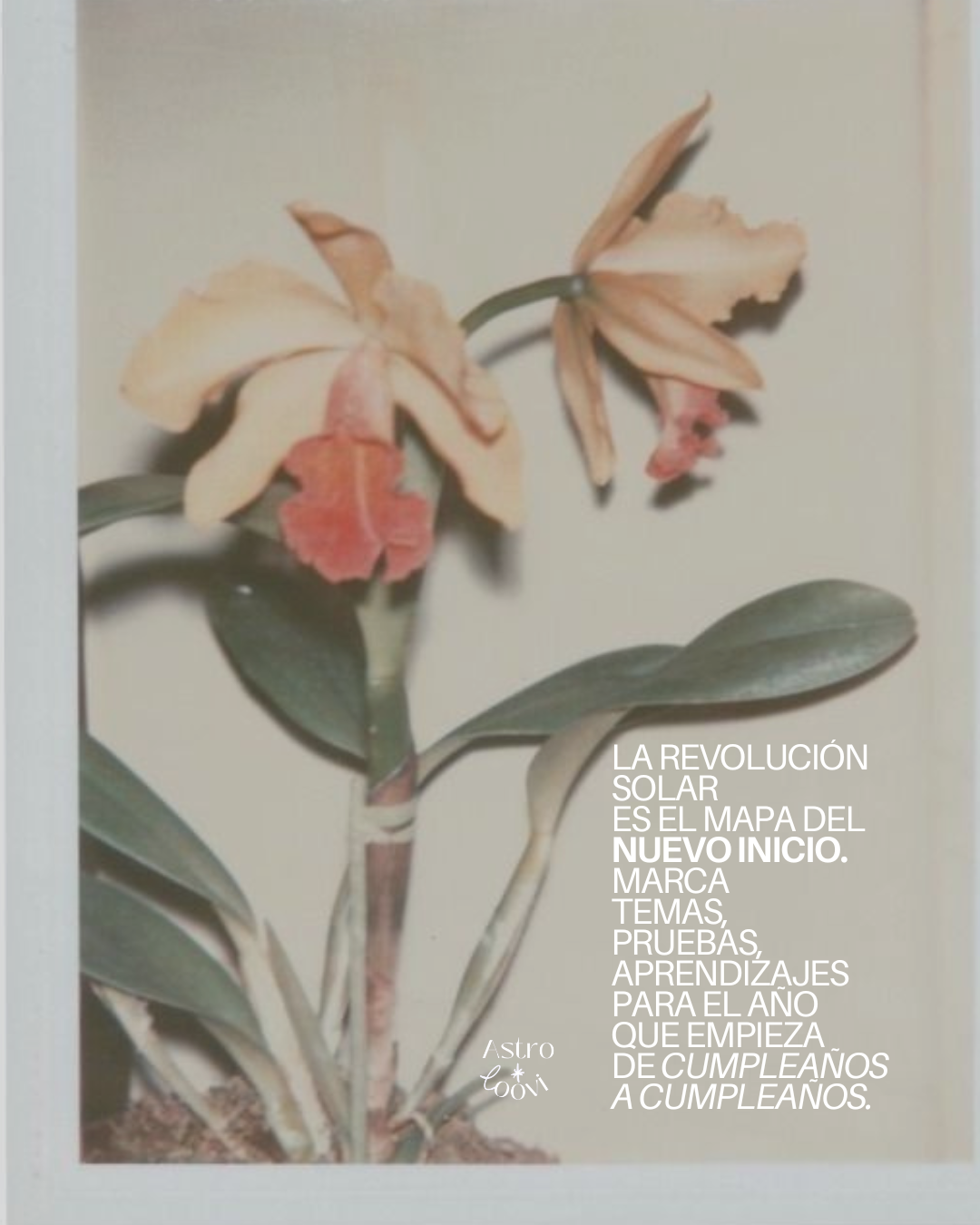 Sesión 1:1 - Cumpleaños - Revolución Solar