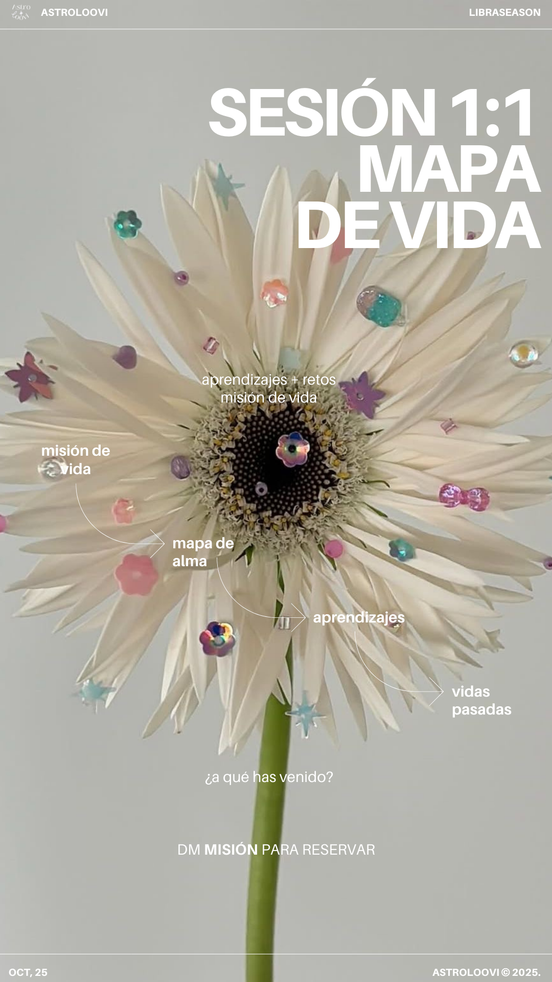 Sesión 1:1 - Misión de Vida. Lectura Natal