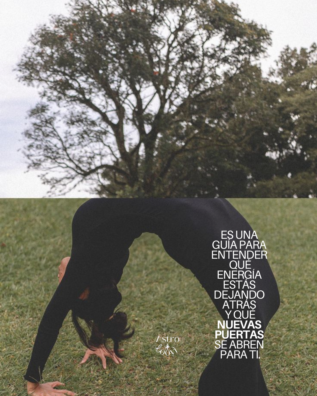 Sesión 1:1 - Cumpleaños - Revolución Solar