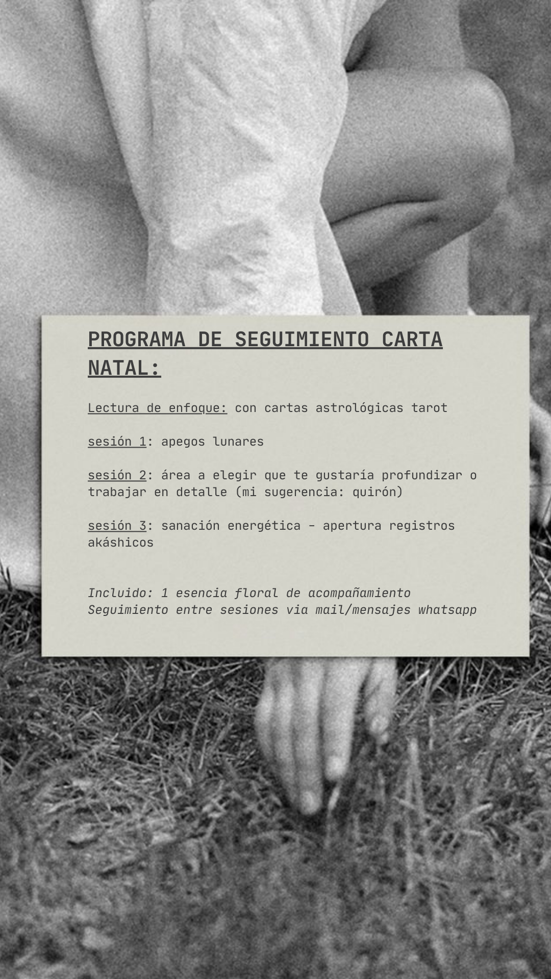 Programa de continuación: Carta Natal
