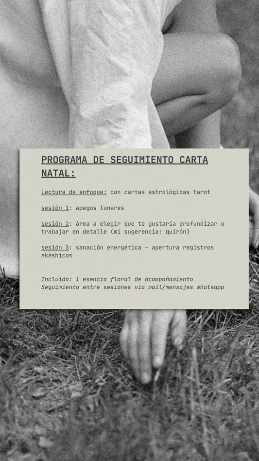 Programa de continuación: Carta Natal