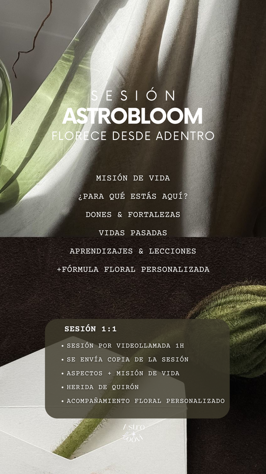 SESIÓN 1:1 - ASTROBLOOM. Misión de vida con esencias florales.