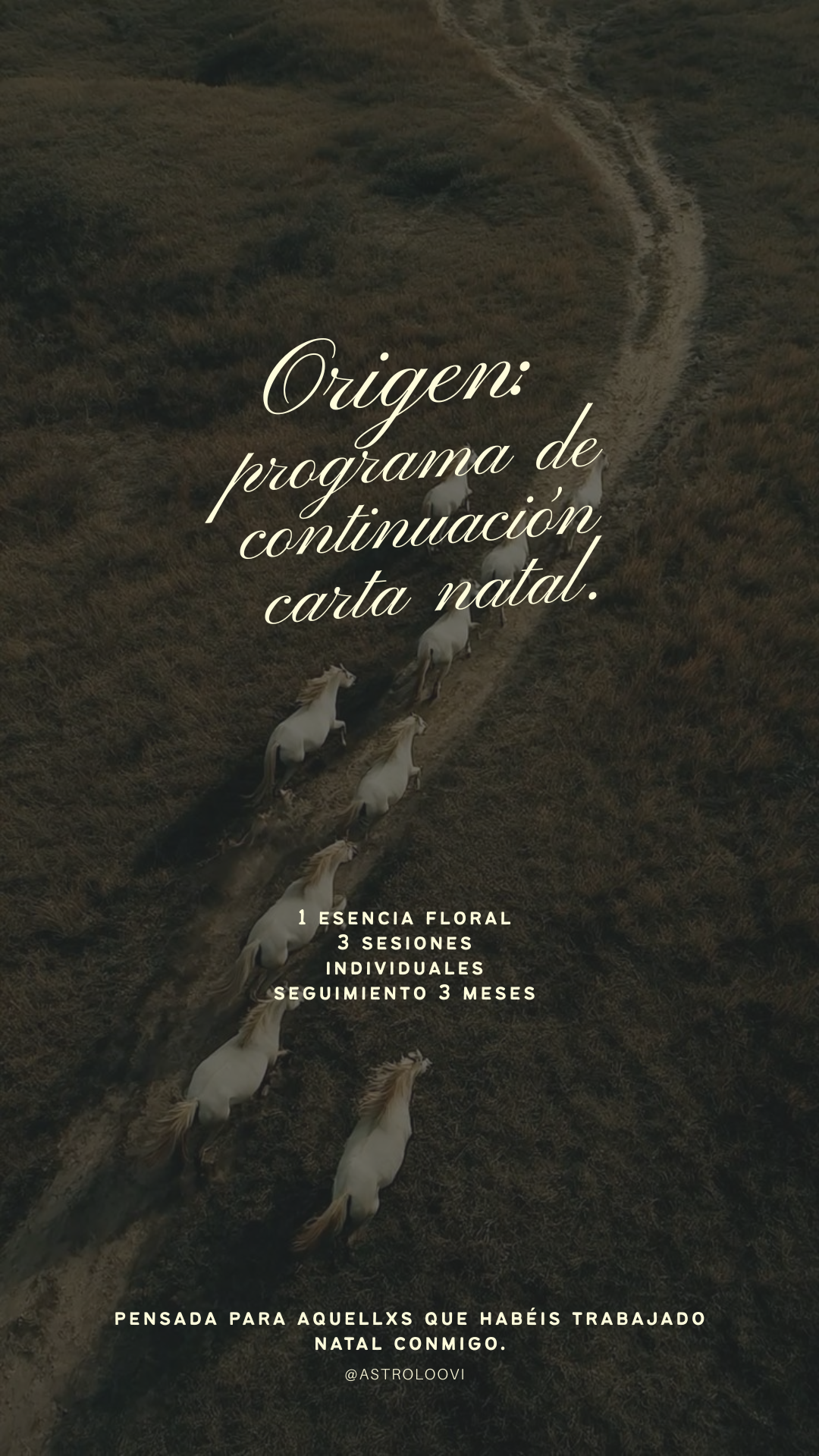 Origen: programa de continuación carta natal.