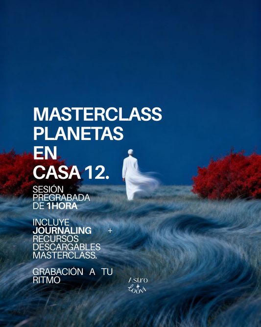 MASTERCLASS de la casa 12 (a tu ritmo)