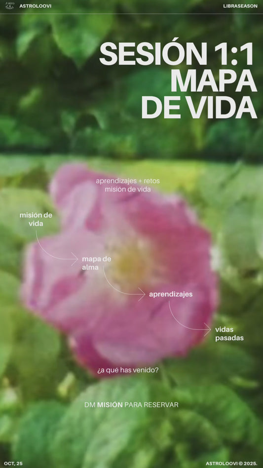 Sesión 1:1 - Misión de Vida. Lectura Natal